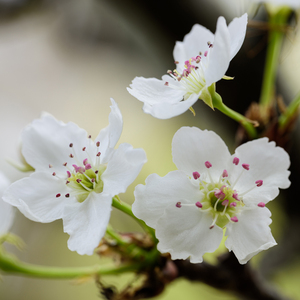 打光屁股㊙️网站
